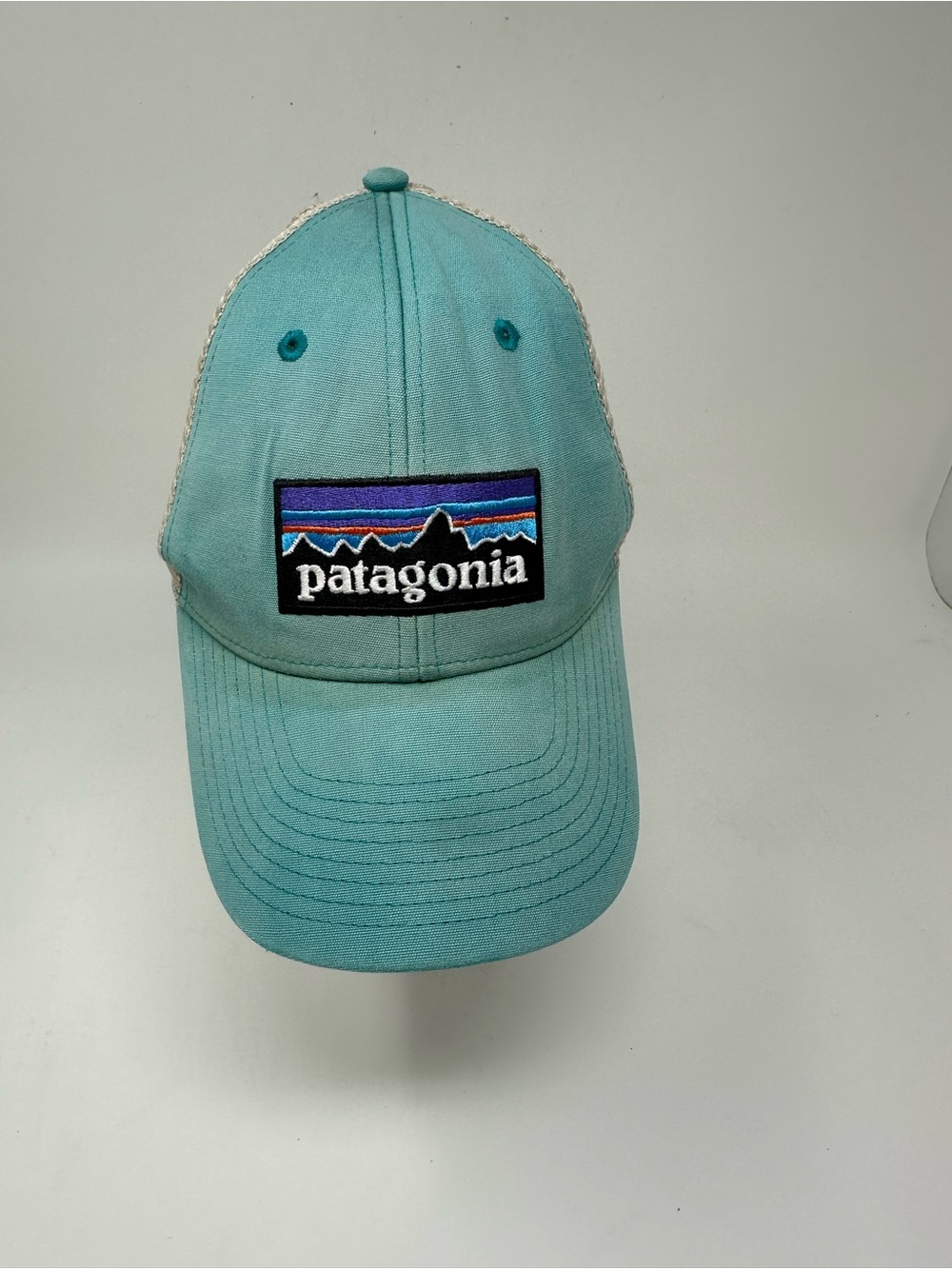 Patagonia Men's Trucker Green Hat